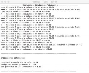 Ejecución de la simulación en Python usando Simpy